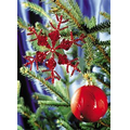 Custom 3D Lenticular 5"X7" Christmas Card